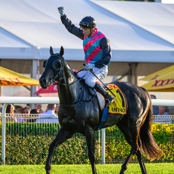 SS26 DN Cup Day_Calendar Tile